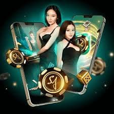 cnc bet login